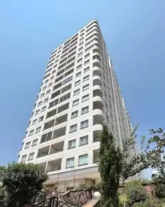سرکار خانم ضیائی